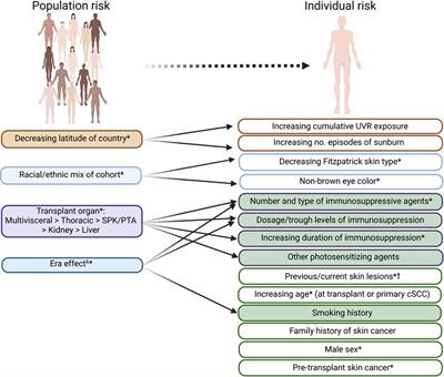 Interventions After First Post-Transplant Cutaneous Squamous Cell Carcinoma: A Proposed Decision Framework